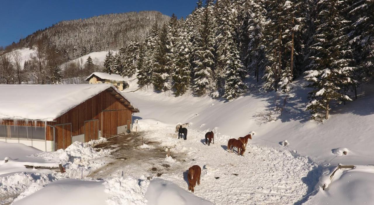 Saumerhof Schladming Buitenkant foto