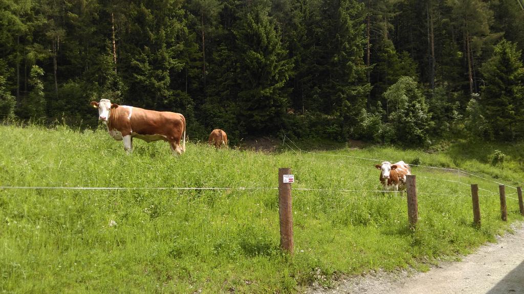 Saumerhof Schladming Buitenkant foto